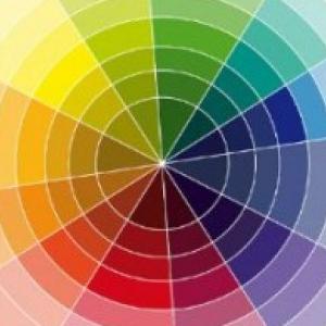 Los colores