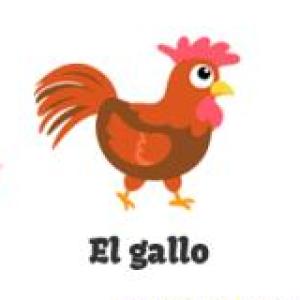 loteria