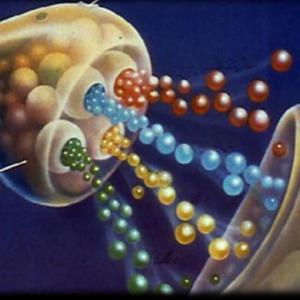 NEUROTRANSMISORES