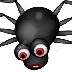 Veo una araña