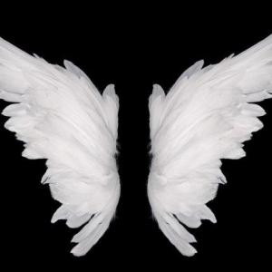 Imagen de portada del videojuego educativo: Wings, de la temática Lengua