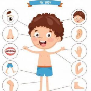 PARTS OF THE BODY
