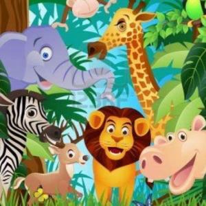 animales perdidos