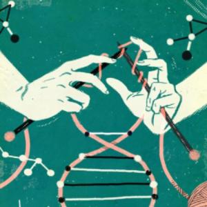 Epigenética y creatividad