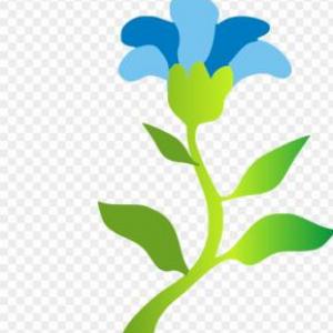 Partes de las plantas