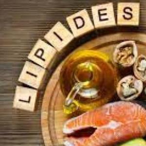 LOS LIPIDOS