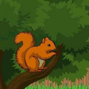 EL ARDILLITO 2