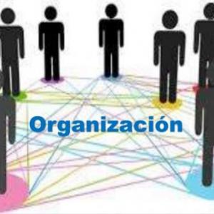 ORGANIZACION