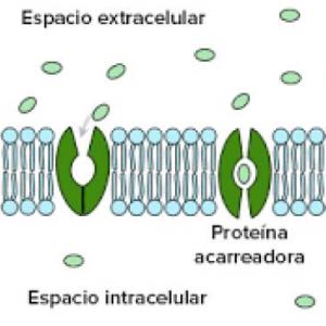 junta las imagenes de ciencias