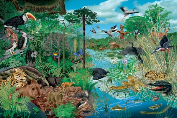 ¿Cuanto sabes de ecosistemas?