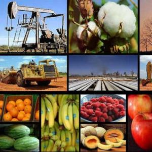 Diversas actividades, diversos productos