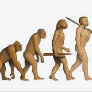 Bloque I La evolución