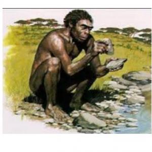Bloque I LA EVOLUVION DEL SER HUMANO