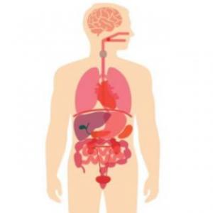 Bloque I Ciencias naturales