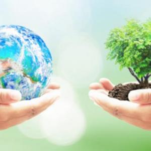 MEDIO AMBIENTE
