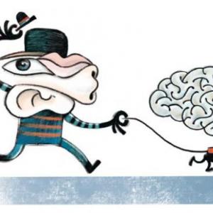 Sistema Sensorial