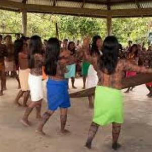 expresiones de patrimonios culturales wounaan