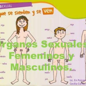 Maduración sexual