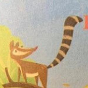 ¿Qué sabemos del cuento?