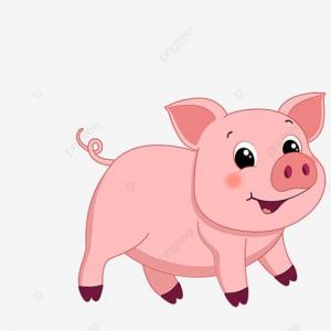 animales