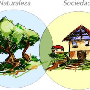 Capítulo 3. La medicina como ciencia natural y social.