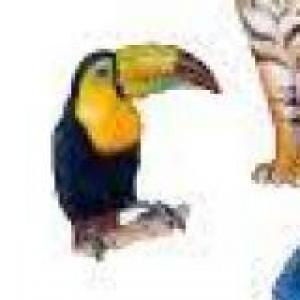 trivia de los seres vivos