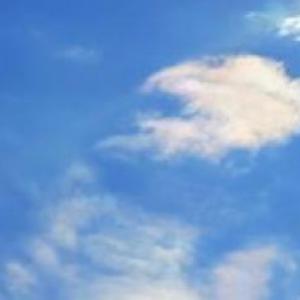 Weather