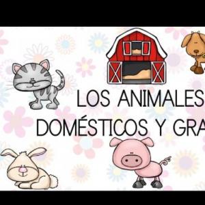 LOS ANIMALES DOMESTICOS