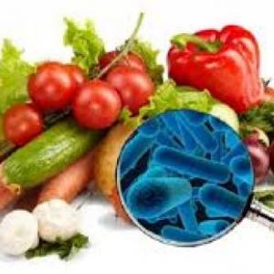 seguridad alimentaria