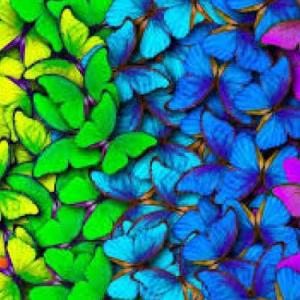 preguntas de colores