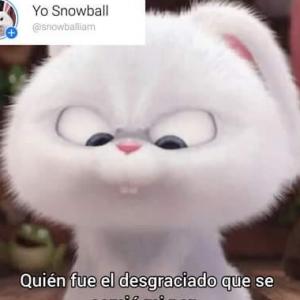 Cabrona
