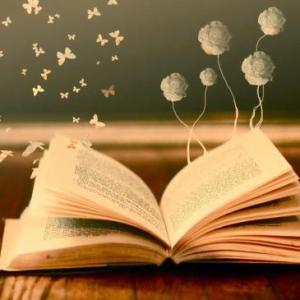 LOS ESCRITORES