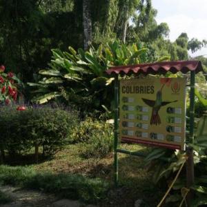 La Biodiversidad