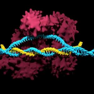 Imagen de portada del videojuego educativo: CRISPR, de la temática Biología
