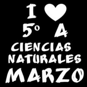 Repaso MARZO