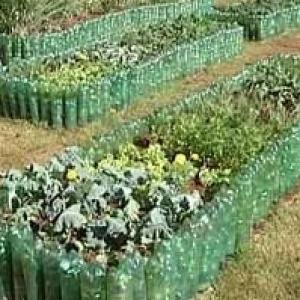 AGROECOSISTEMA 1