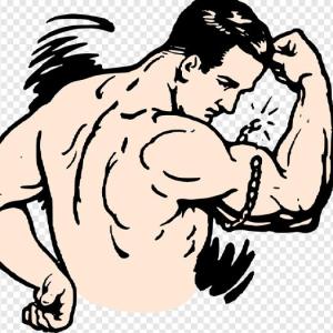 aprendiendo en positivo sobre mis músculos