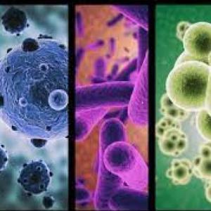 Microbiología general
