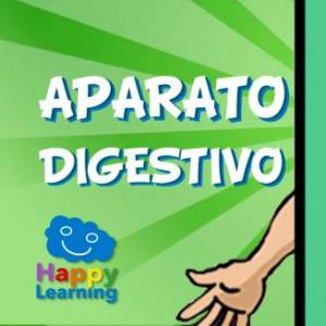 Aparato digestivo