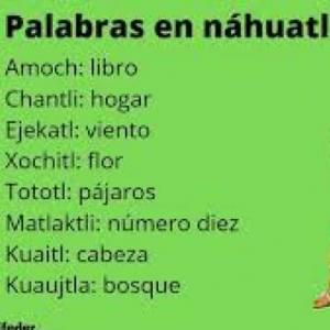 Palabras en lengua indígena