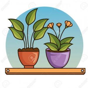 Beneficio de las plantas