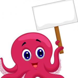 ANIMALES INVERTEBRADOS