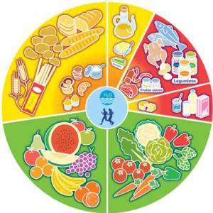 ALIMENTOS EN CHORTÍ
