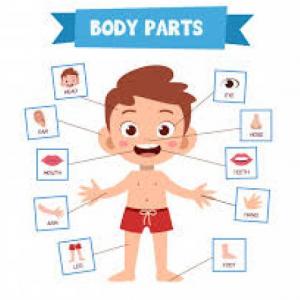 Feelings, face and body