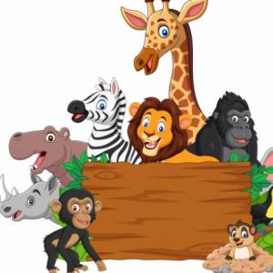Animals