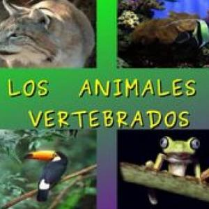 Animales vertebrados
