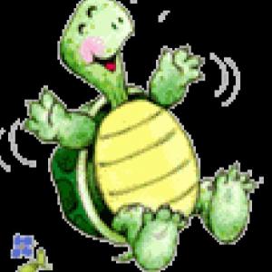 la tortuga