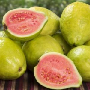 PROPIEDADES DE LA GUAYABA