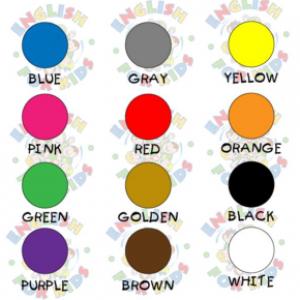 THE COLORS