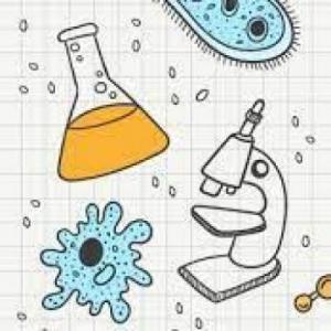 Física y química